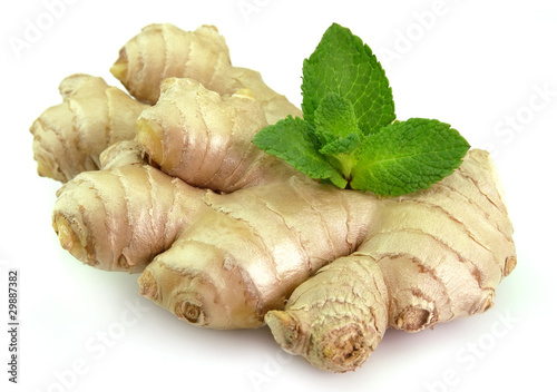 Root of ginger with mint