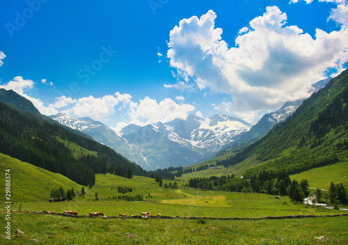 Obraz na płótnie Romantische Naturlandschaft w salonie