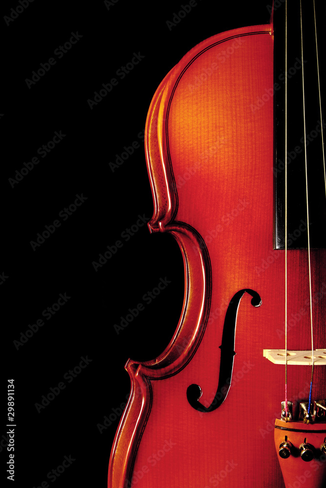 Obraz premium Vintage violin on black background