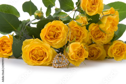 Beautiful yellow roses