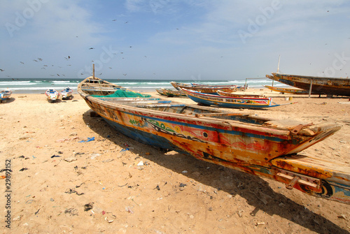 barche senegalesi