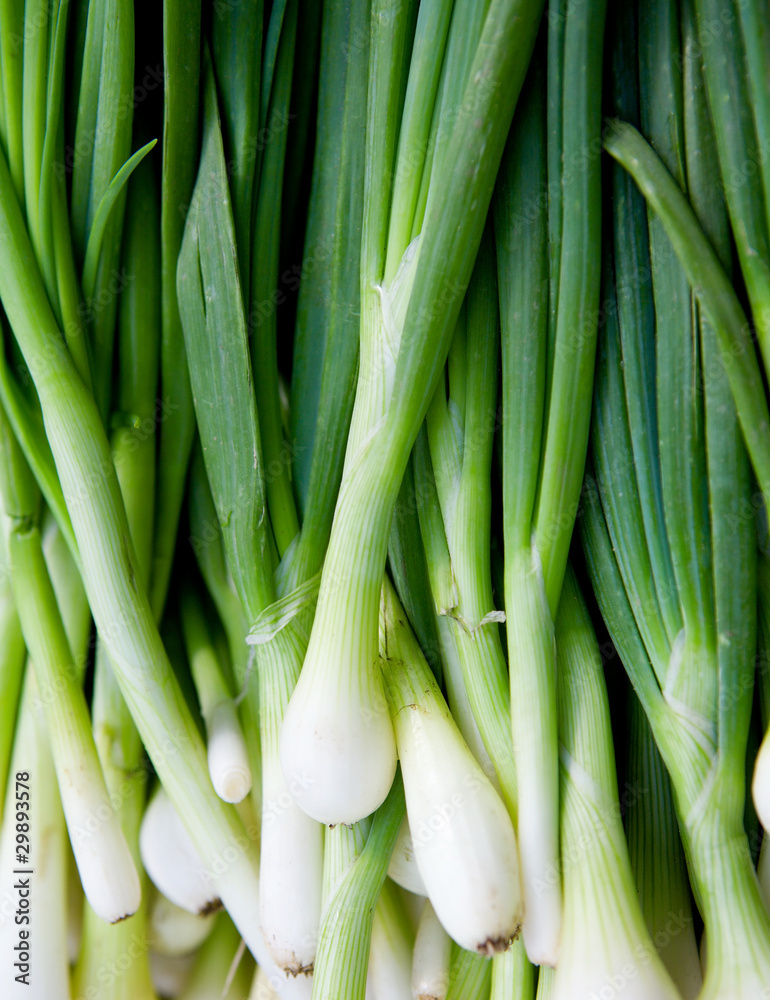 Fresh green onions