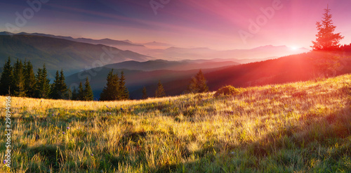 Fototapeta Naklejka Na Ścianę i Meble -  Summer landscape in the mountains. Sunrise