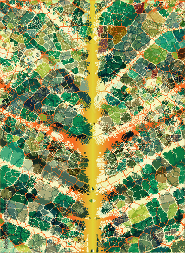 Leafy veins