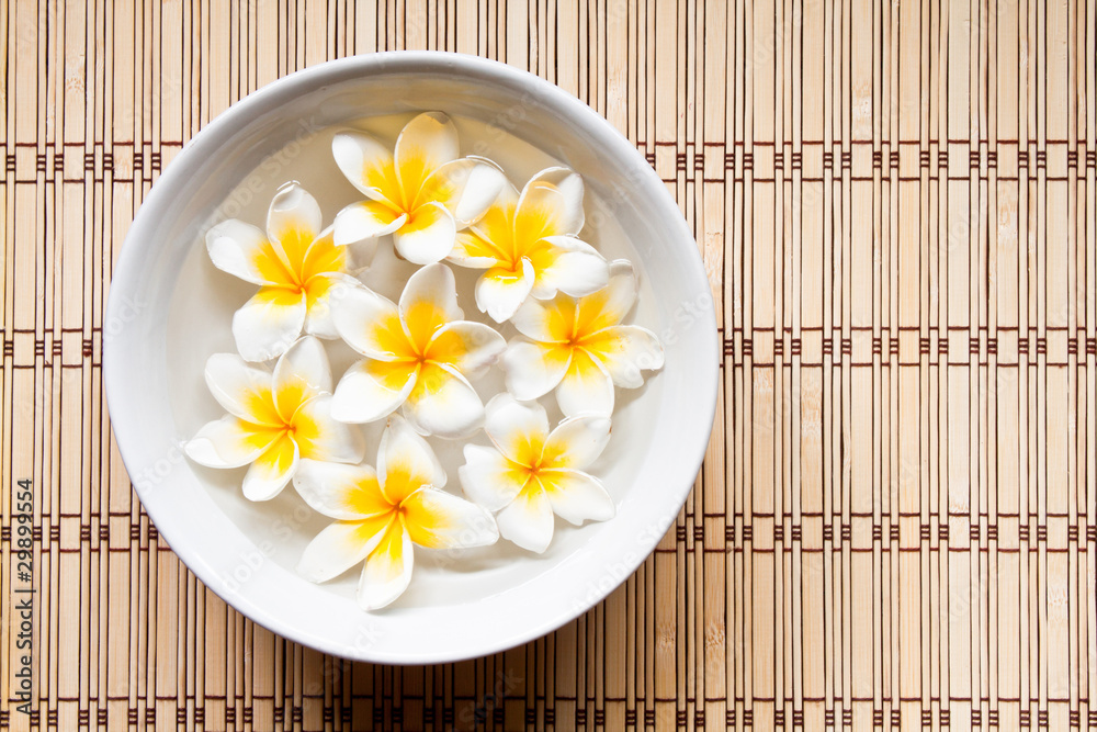 Plumeria spa Plumeria spa