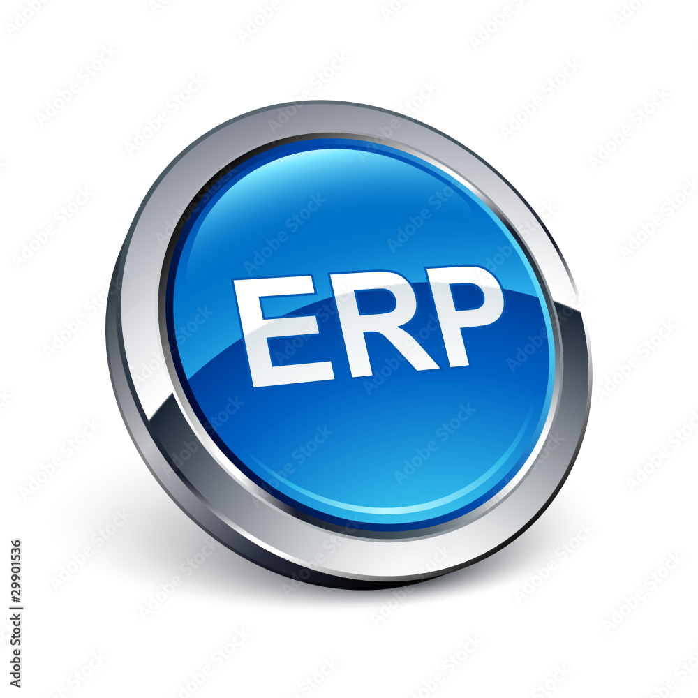 icône bouton internet ERP