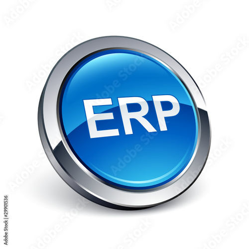 icône bouton internet ERP