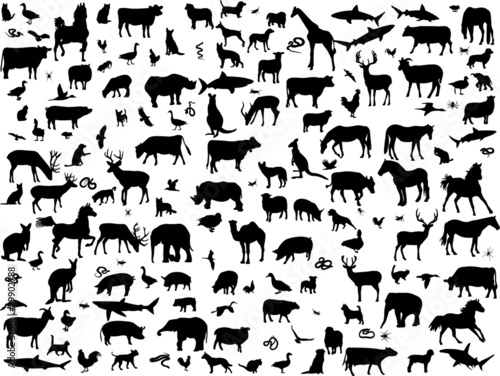 big collection of different animals silhouette - vector