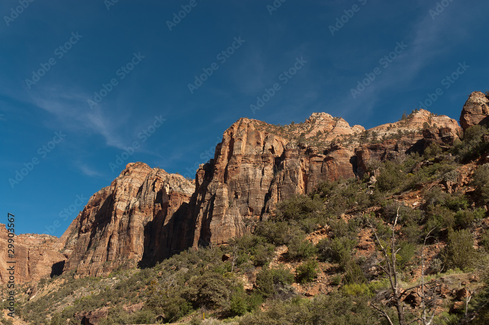 Obraz premium Zion Nationalpark