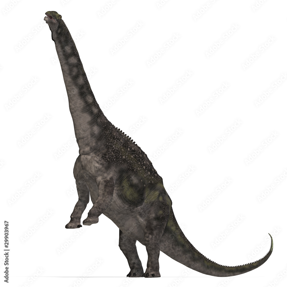 Dinosaur Diamantinasaurus. 3D rendering with clipping path and Dinosaur Diamantinasaurus. 3D rendering with clipping path and