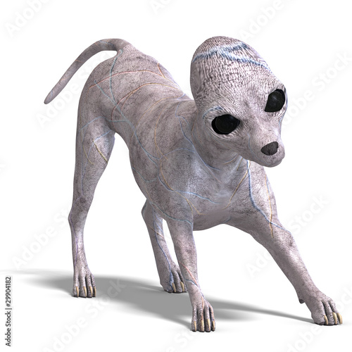 strange alien dog from area 51. 3D rendering with clipping path photo