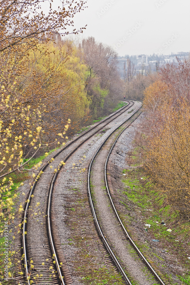 Train track covered with fallen leaves