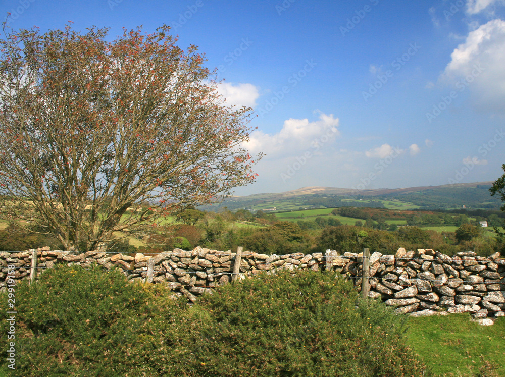 Dry stone wall on Dartmoor in Devon
