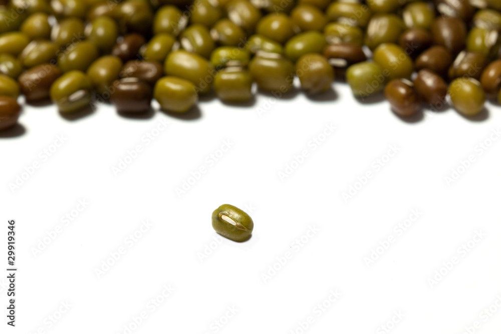 mung bean mung bean