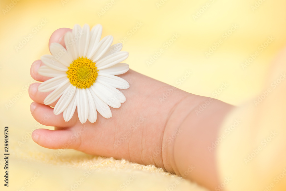 Lovely infant foot with little white daisy Lovely infant foot with little white daisy