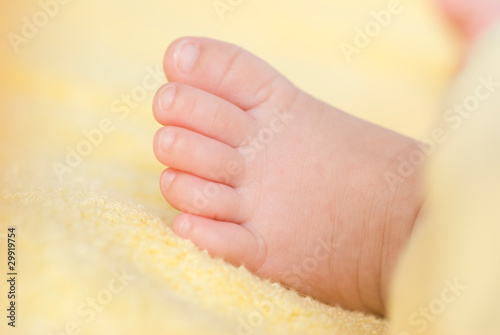 Lovely infant foot.