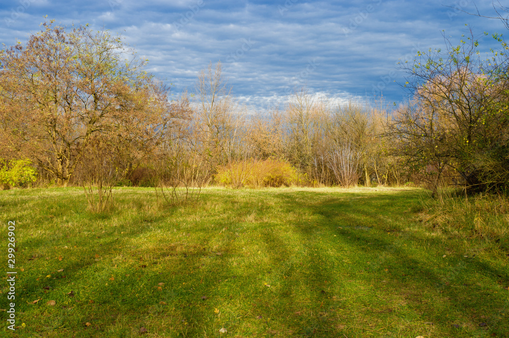 Fototapeta premium Autumn Landscape
