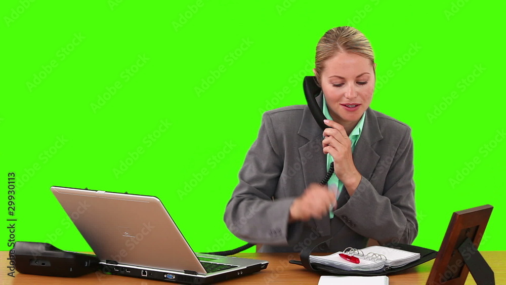 Businesswoman talking on the phone and taking notes Businesswoman talking on the phone and taking notes