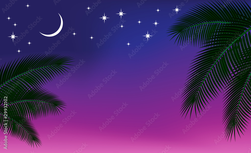 Fototapeta Night sky and a palm branch.