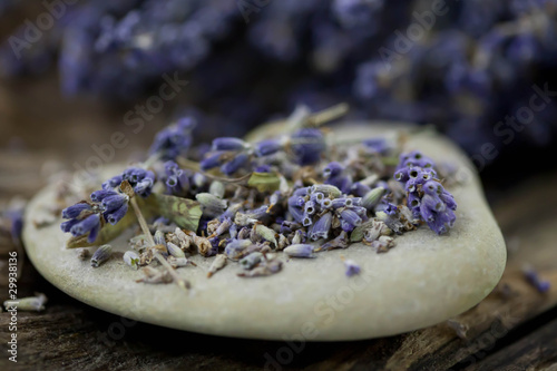 Obraz na plátně Getrockneter Lavendel