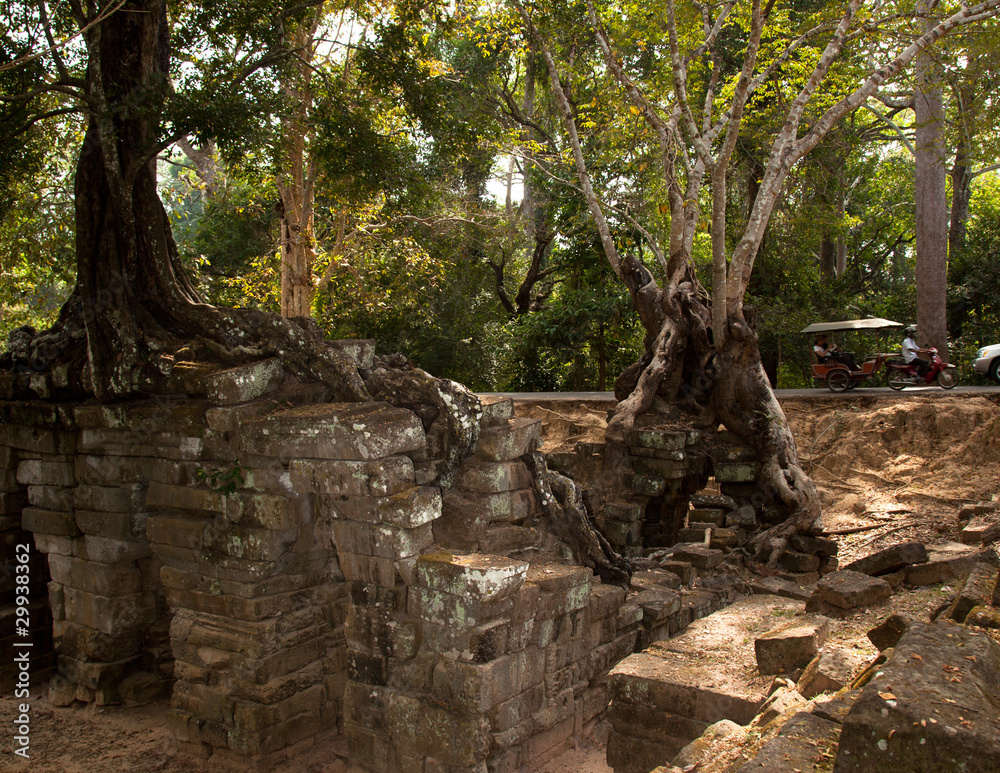 Balade en Tuk-Tuk dans les temples d'Angkor Wat - Cambodge Balade en Tuk-Tuk dans les temples d'Angkor Wat - Cambodge