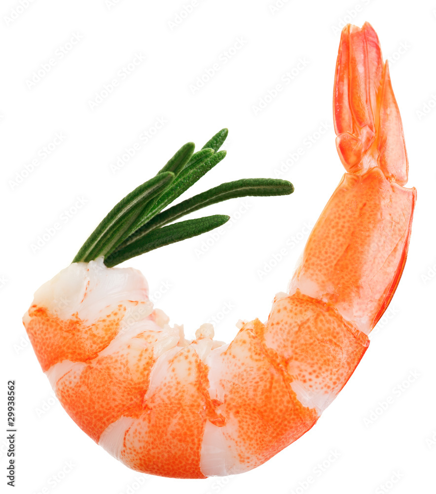 Cooked unshelled tiger shrimp with rosemary twig