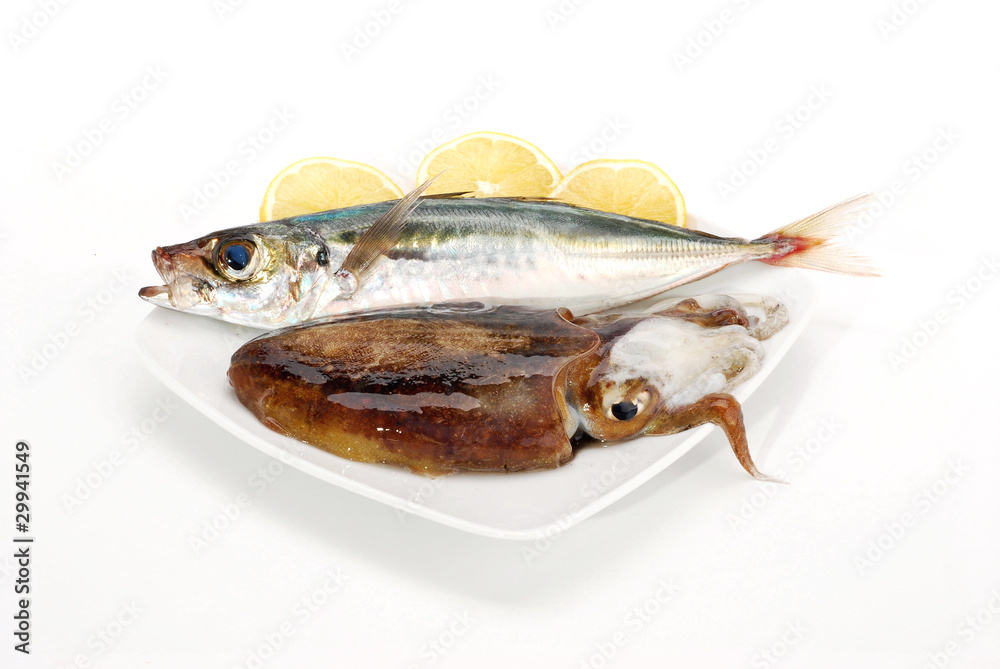 PESCE 3 PESCE 3
