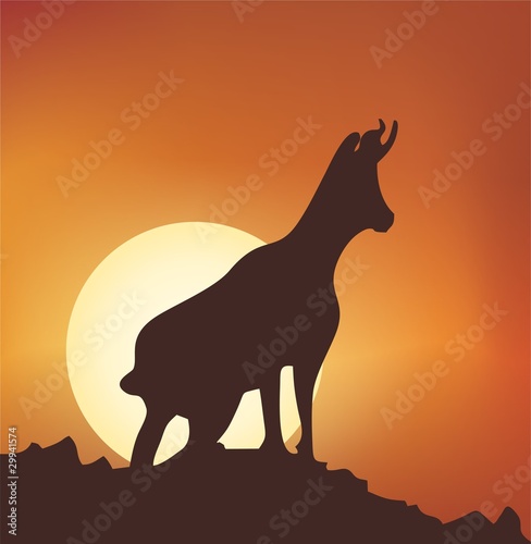 carnero