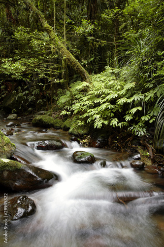 Stream flowing in tropical forest