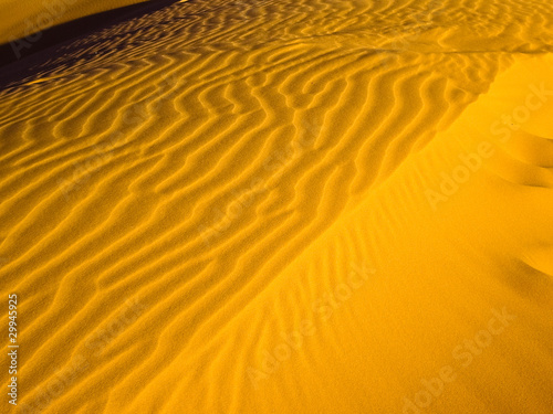 Golden Waves of Sand photo