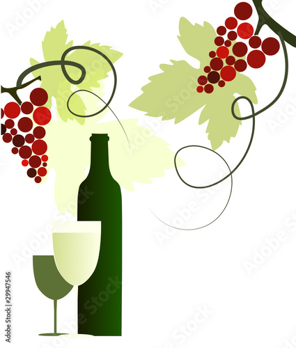 vigne et vin
