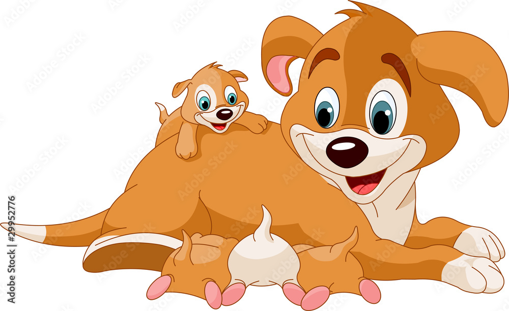 Fototapeta premium Mother dog nursing cute puppies