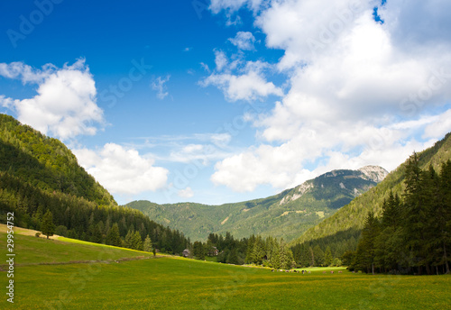 alpine pasture in spring © Uroš Medved