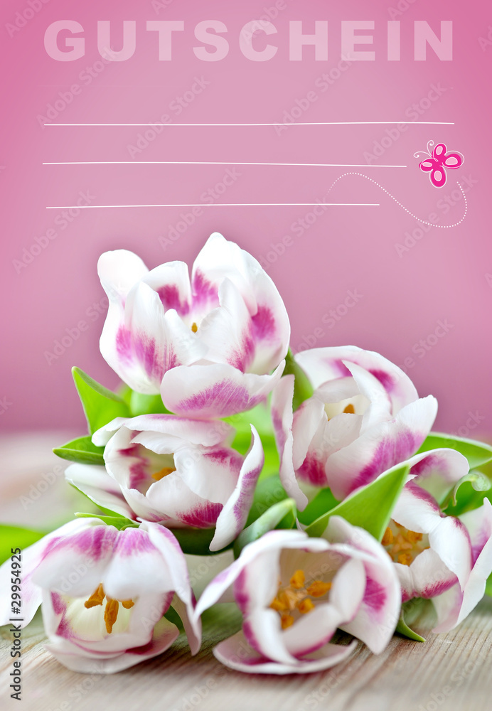 geschenk-gutschein in rosa geschenk-gutschein in rosa