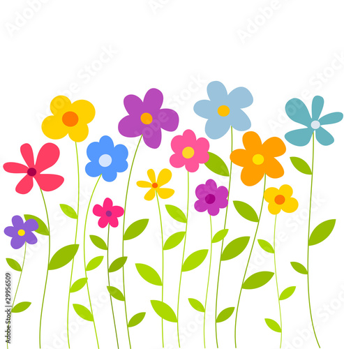 Flowers growing