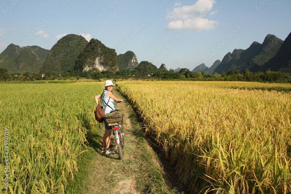 Obraz premium Girl Cycling in China country , rice fields of Yangshou
