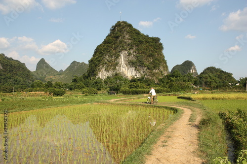 Cycling in China country , rice fields of Yangshou