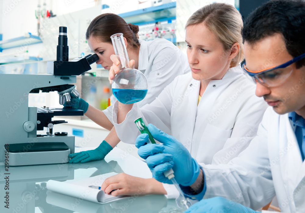 group of students working at the laboratory
