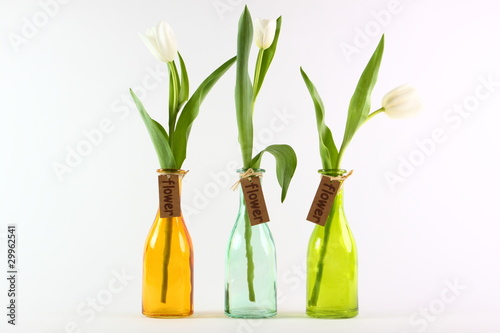 weise Tulpen in Vase