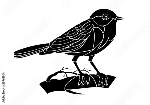 titmouse vector