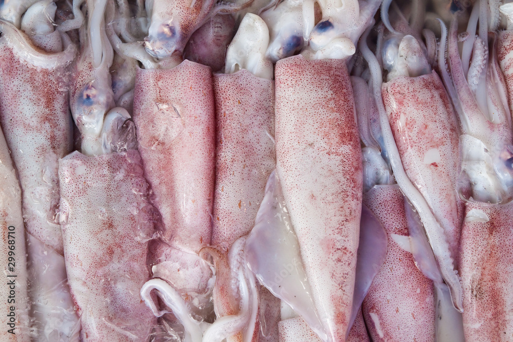 Fresh squids at seafood market,East of Thailand
