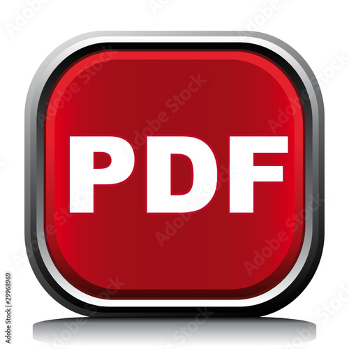PDF ICON
