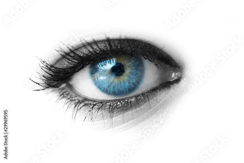 Beautiful blue eye isolated on white