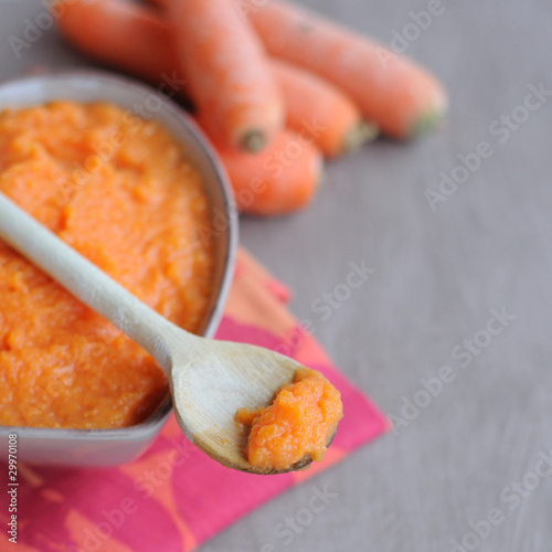 cuillère de purée de carottes 2 photo