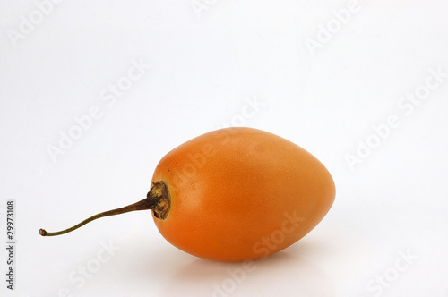Solanum betaceum Tomate de árbol photo