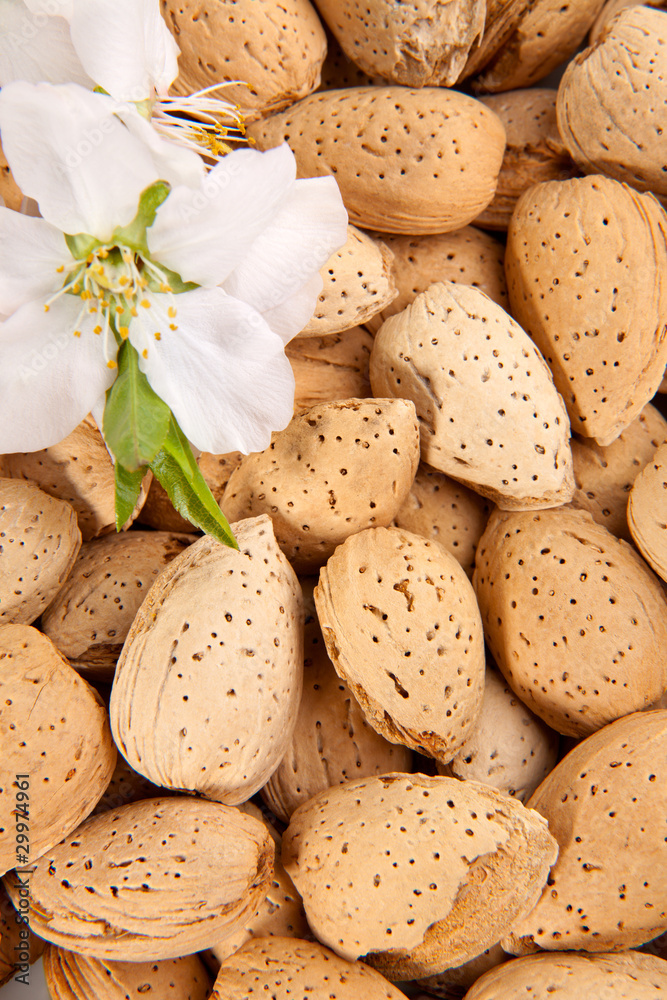 Almond nuts Almond nuts