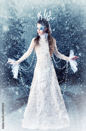 Fotografie, Obraz Beautiful brunette in a dress of Snow Queen
