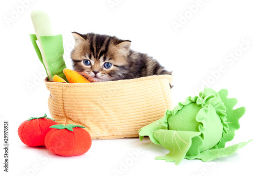 kitten pure breed striped british with toy vegetables isolated