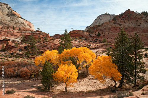 Fall Colors at Zion Canyon