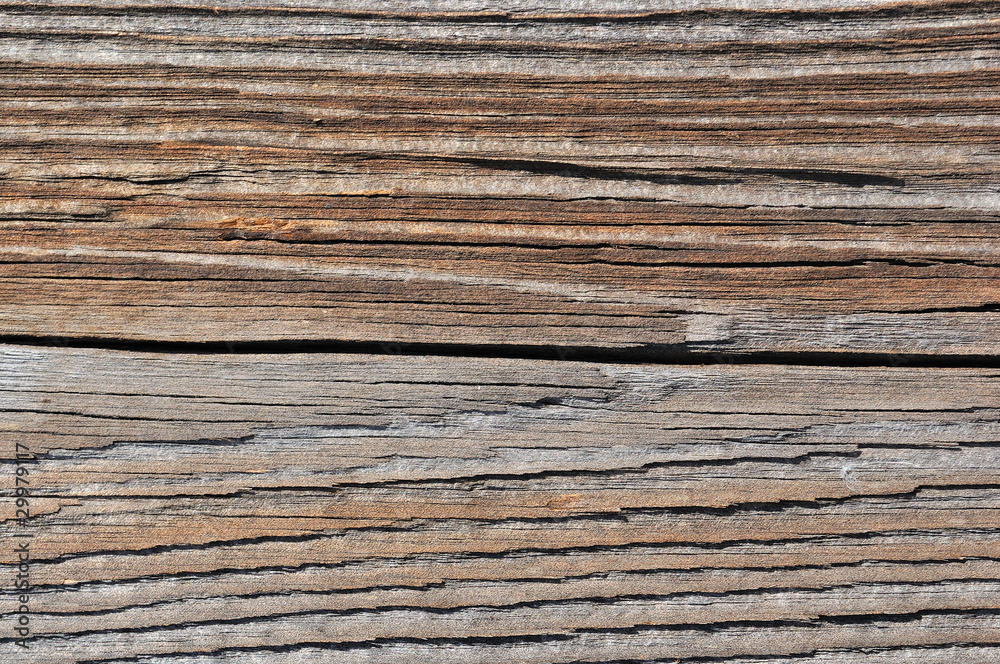 Obraz premium Wooden texture